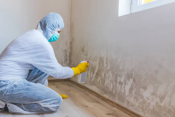 Bathroom Mold Removal assessment in Portland bathroom