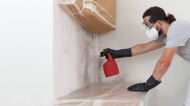 Attic Mold Remediation treatment on roof deck in Portland