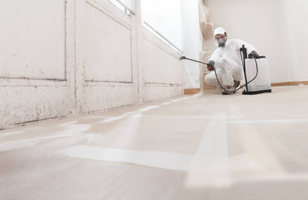 Post-remediation clearance in Portland